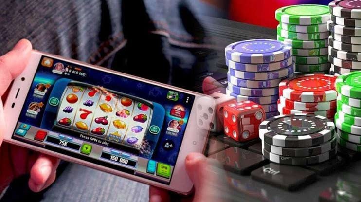 255 bet com