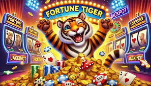 255 bet com
