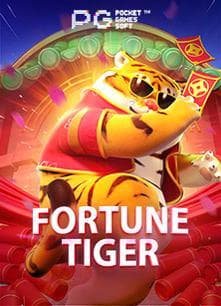 255 bet com